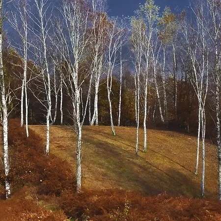 Apartamento Lahinja & Kolpa River