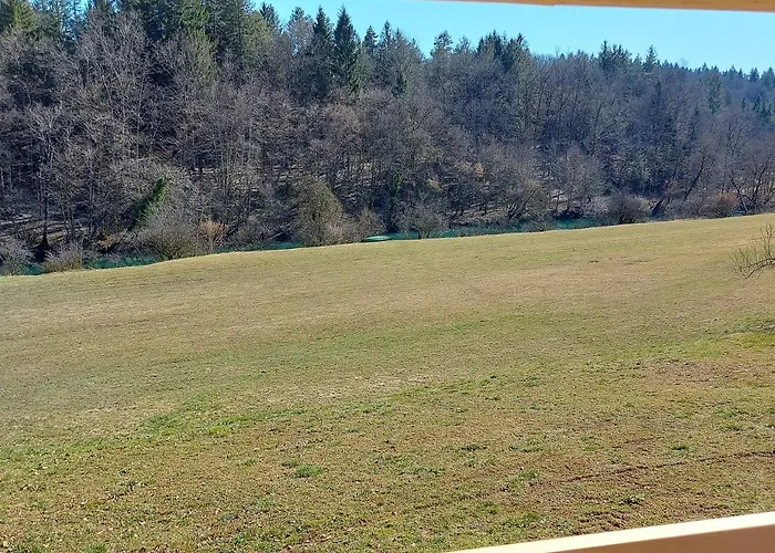 Lahinja & Kolpa River Apartment *